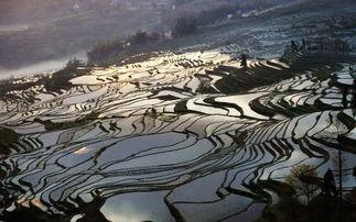 1024国产基地,引领科技潮流的国产创新力量